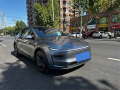 Tesla Model Y Rear-Wheel Drive - ფოტო 3