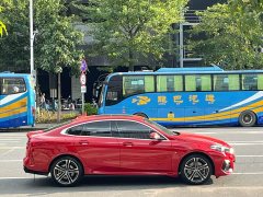 BMW 2 Series (Imported) 225i Four-Door Coupe M Sport Package - ფოტო 8