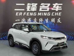 BYD Yuan UP 301KM Pilot Edition - ფოტო 2
