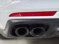 Porsche 2023 Panamera Facelift Panamera 2.9T Platinum Edition - ფოტო 18