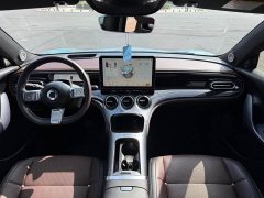 Smart #3 Pulse AWD - ფოტო 11