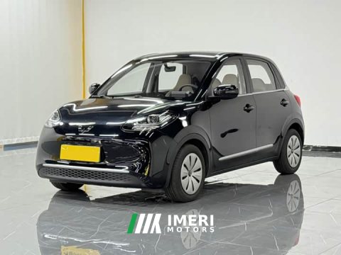 2023 Wuling Binguo 203km Light Enjoy Edition - ავტომობილი ჩინეთიდან