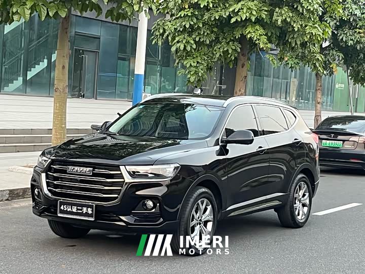 Haval H6 2021 National Trend 1.5GDIT Automatic Champion Edition - ავტომობილი ჩინეთიდან