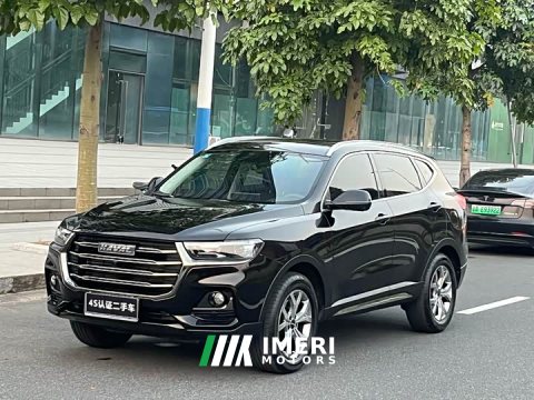 2022 Haval H6 2021 National Trend 1.5GDIT Automatic Champion Edition - ავტომობილი ჩინეთიდან