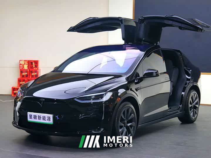 Tesla Model X Dual Motor All-Wheel Drive - ავტომობილი ჩინეთიდან