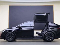 Tesla Model X Dual Motor All-Wheel Drive - ფოტო 19