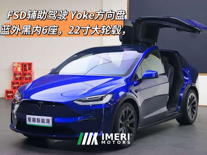 Tesla Model X Dual Motor All-Wheel Drive - ავტომობილი ჩინეთიდან