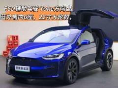 Tesla Model X Dual Motor All-Wheel Drive - ფოტო 1