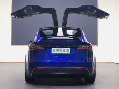 Tesla Model X Dual Motor All-Wheel Drive - ფოტო 18