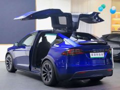 Tesla Model X Dual Motor All-Wheel Drive - ფოტო 19