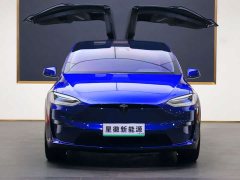 Tesla Model X Dual Motor All-Wheel Drive - ფოტო 2