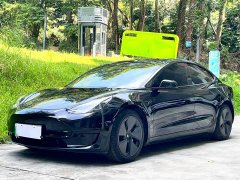 Tesla Model 3 Standard Range RWD Upgrade - ფოტო 1