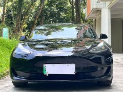 Tesla Model 3 Standard Range RWD Upgrade - ფოტო 2