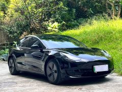 Tesla Model 3 Standard Range RWD Upgrade - ფოტო 3