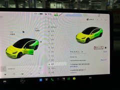 Tesla Model 3 Standard Range RWD Upgrade - ფოტო 8