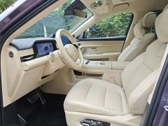 AITO Aion M5 Extended Range Ultra AWD - ფოტო 13