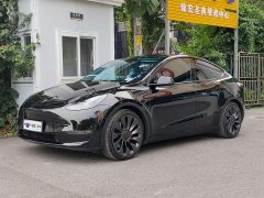 Tesla Model Y 2022 Performance All-Wheel Drive - ფოტო 1