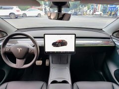 Tesla Model Y 2022 Performance All-Wheel Drive - ფოტო 10