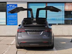 Tesla Model X Tri-Motor All-Wheel Drive Plaid - ფოტო 12