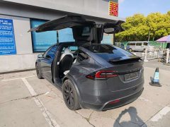 Tesla Model X Tri-Motor All-Wheel Drive Plaid - ფოტო 13