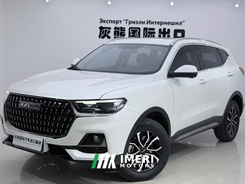 2023 Haval H6 National Trend Edition 1.5T Automatic Urban Version - ავტომობილი ჩინეთიდან