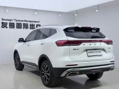 Haval H6 National Trend Edition 1.5T Automatic Urban Version - ფოტო 6