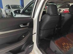 Soueast Southeast DX8S 1.5T DCT Gulf Edition 5-Seater - ფოტო 6