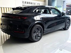 BYD Song L EV 550km Excellence Edition - ფოტო 5