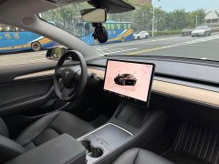 Tesla Model 3 Rear-Wheel Drive - ფოტო 11
