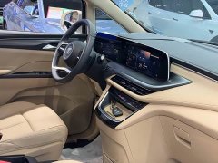Buick GL8 Land Executive Cabin Comfort DG Edition - ფოტო 11