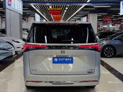 Buick GL8 Land Executive Cabin Comfort DG Edition - ფოტო 15