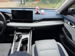 Geely Xingui Xingrui 2.0T Diesel Premium Edition - photo 14