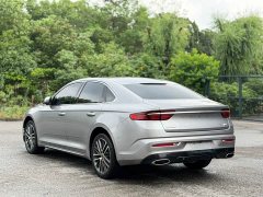 Geely Xingui Xingrui 2.0T Diesel Premium Edition - photo 6
