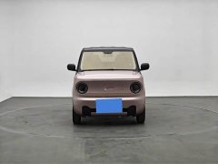 Geely Panda Mini 200km Endurance Edition - ფოტო 2