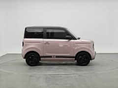 Geely Panda Mini 200km Endurance Edition - ფოტო 3