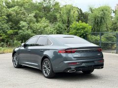 Geely Xingui Xingrui 2.0T Diesel Luxury - фото 6