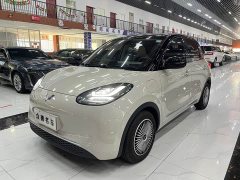 Wuling Binguo 333km Joy Edition - photo 1