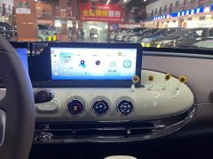Wuling Binguo 333km Joy Edition - photo 10