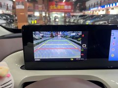 Wuling Binguo 333km Joy Edition - photo 12