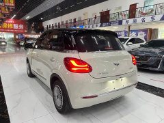 Wuling Binguo 333km Joy Edition - photo 3
