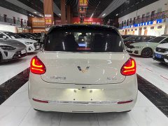 Wuling Binguo 333km Joy Edition - photo 4