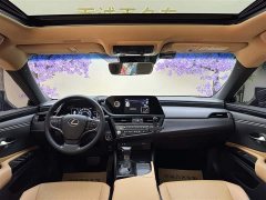 Lexus ES 2021 300h Excellence - ფოტო 13