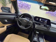 Lexus ES 2021 300h Excellence - ფოტო 14
