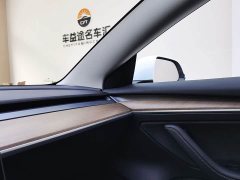 Tesla Model 3 Facelift Standard Range RWD Upgrade 3D1 - ფოტო 20