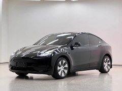 Tesla Model Y Long Range All-Wheel Drive 3D7 - ფოტო 1