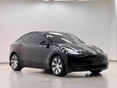Tesla Model Y Long Range All-Wheel Drive 3D7 - ფოტო 3