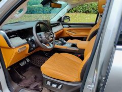 Tank 500 3.0T Business Edition Landscape Version 5-Seater - ფოტო 7