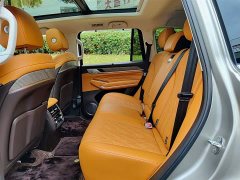 Tank 500 3.0T Business Edition Landscape Version 5-Seater - ფოტო 8