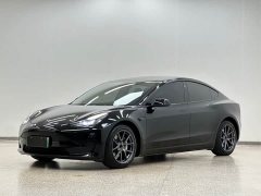 Tesla Model 3 Standard Range RWD Upgrade - ფოტო 1