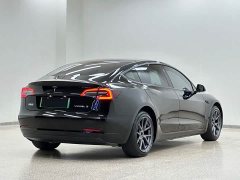 Tesla Model 3 Standard Range RWD Upgrade - ფოტო 6
